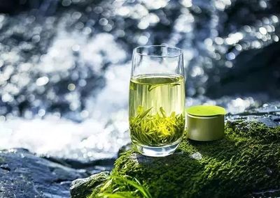 湖南農大專家在茶葉中發現新型成分，助力預防肌肉萎縮，未來或可開發為辦公健康產品
